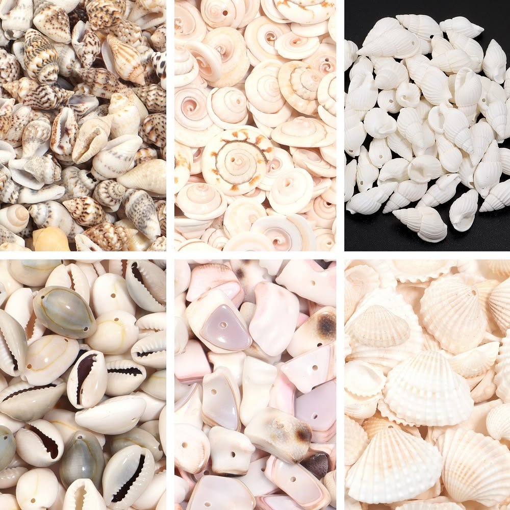 Shell